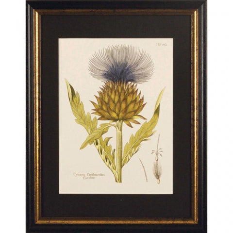 Flowers III Black Framed Print