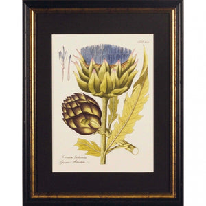 Flowers IV Black Framed Print