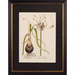 Flowers I Black Framed Print