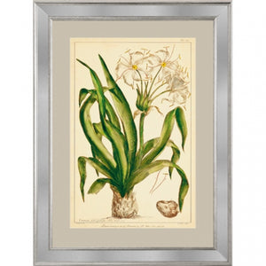 Flowers I Framed Print