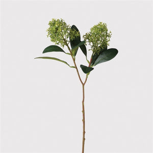 Green Skimmia Spray