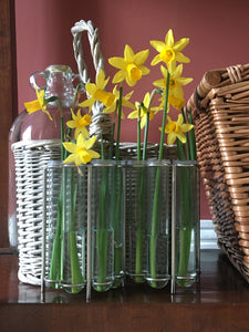 Test Tube Vase