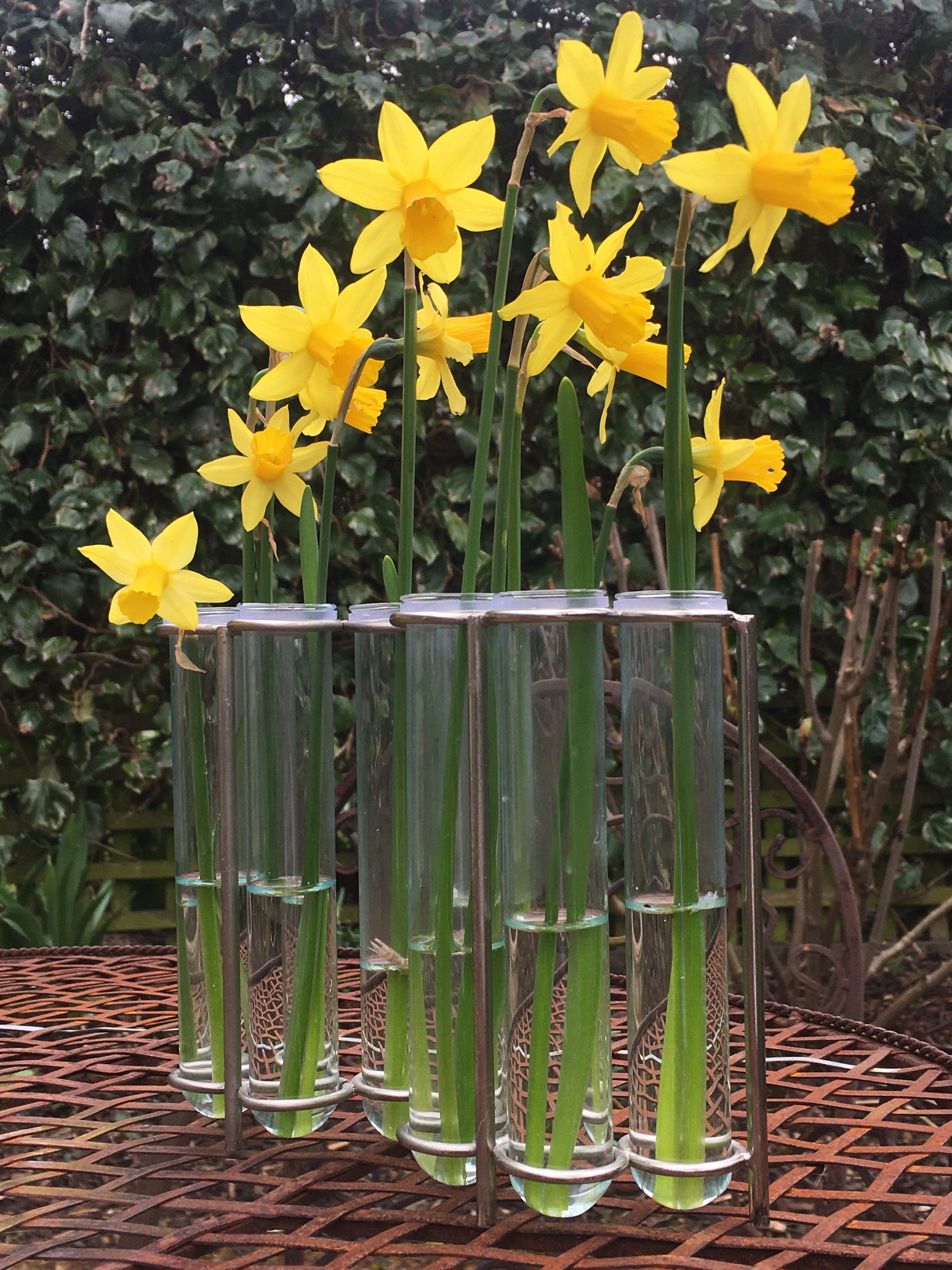 Test Tube Vase