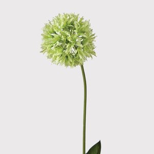 Lime Green Allium Spray